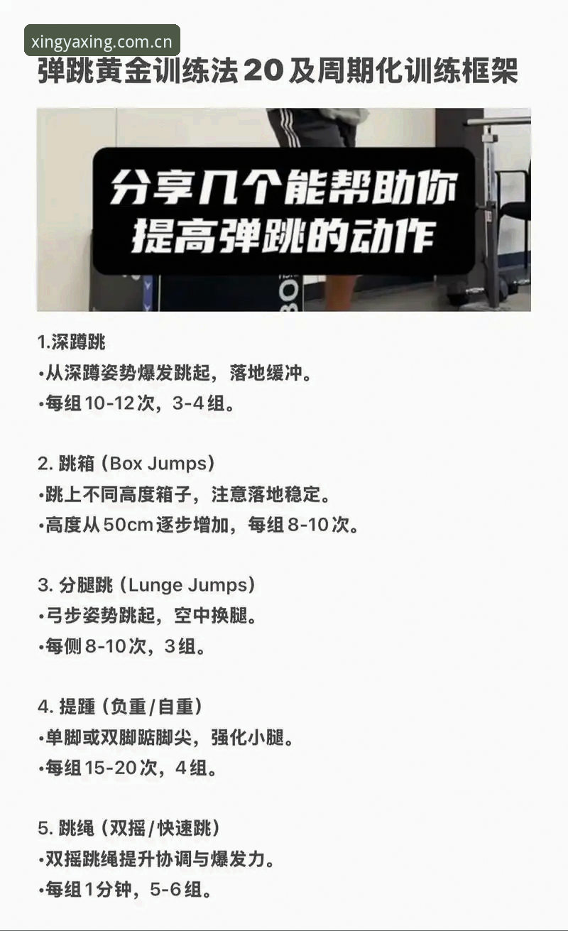 亚星体育平台实战技巧：yaxing最新动态与高效使用必备知识