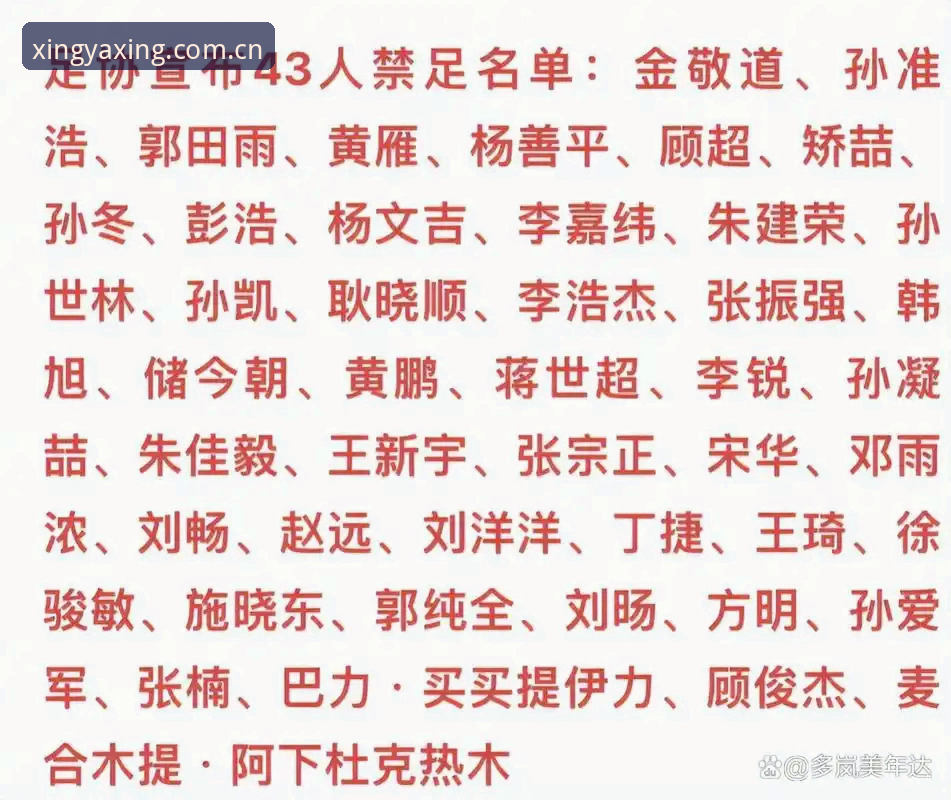 中国足协第三批禁足名单深度解析——亚星体育平台带你洞悉行业规范与创新突破