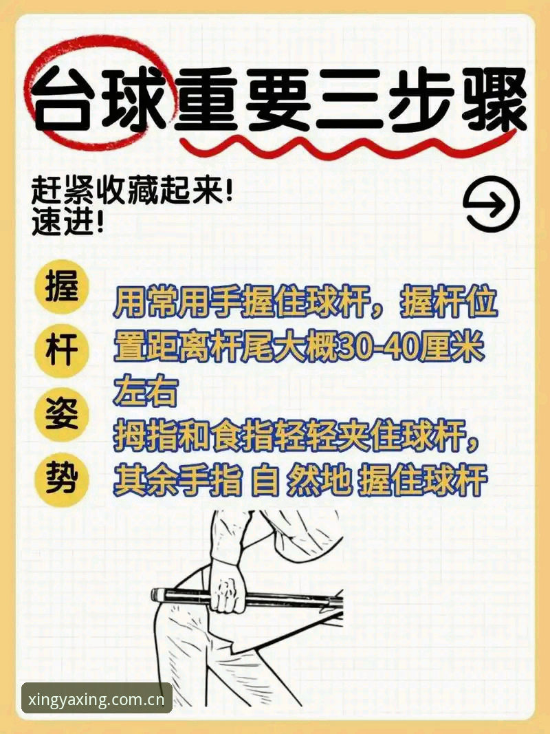 yaxing最新动态教程 亚星体育平台最新动态教程实用指南——新手必备的操作技巧与问题解答